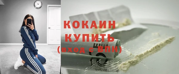 дживик Липки