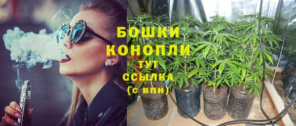 PSILOCYBIN Майский