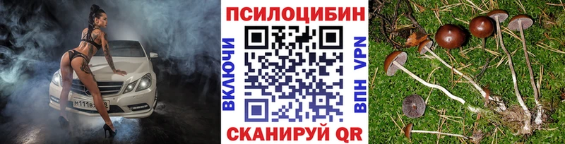 Купить закладки  Апатиты  Галлюциногенные грибы мицелий 